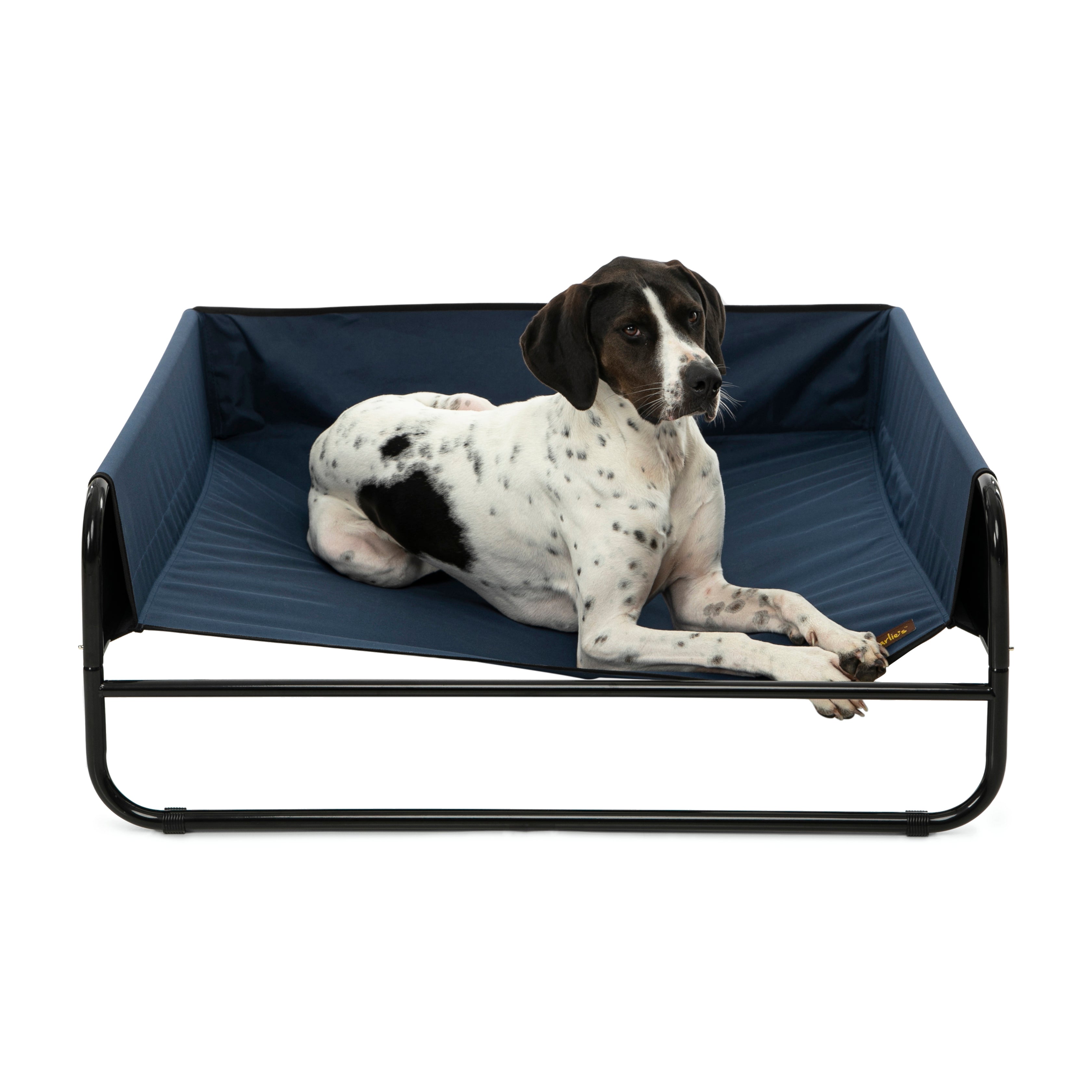 Pet sales bed cot