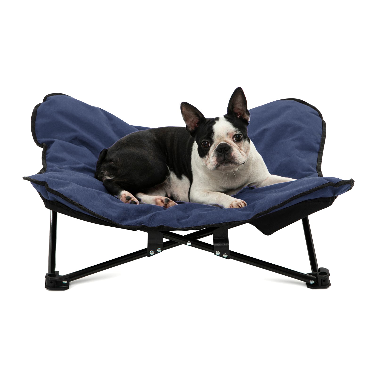 Pet chair hotsell