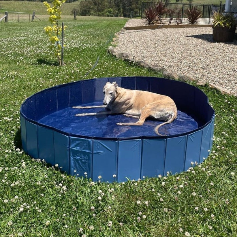 Portable Pet Pool Party Charlie's Pet Products