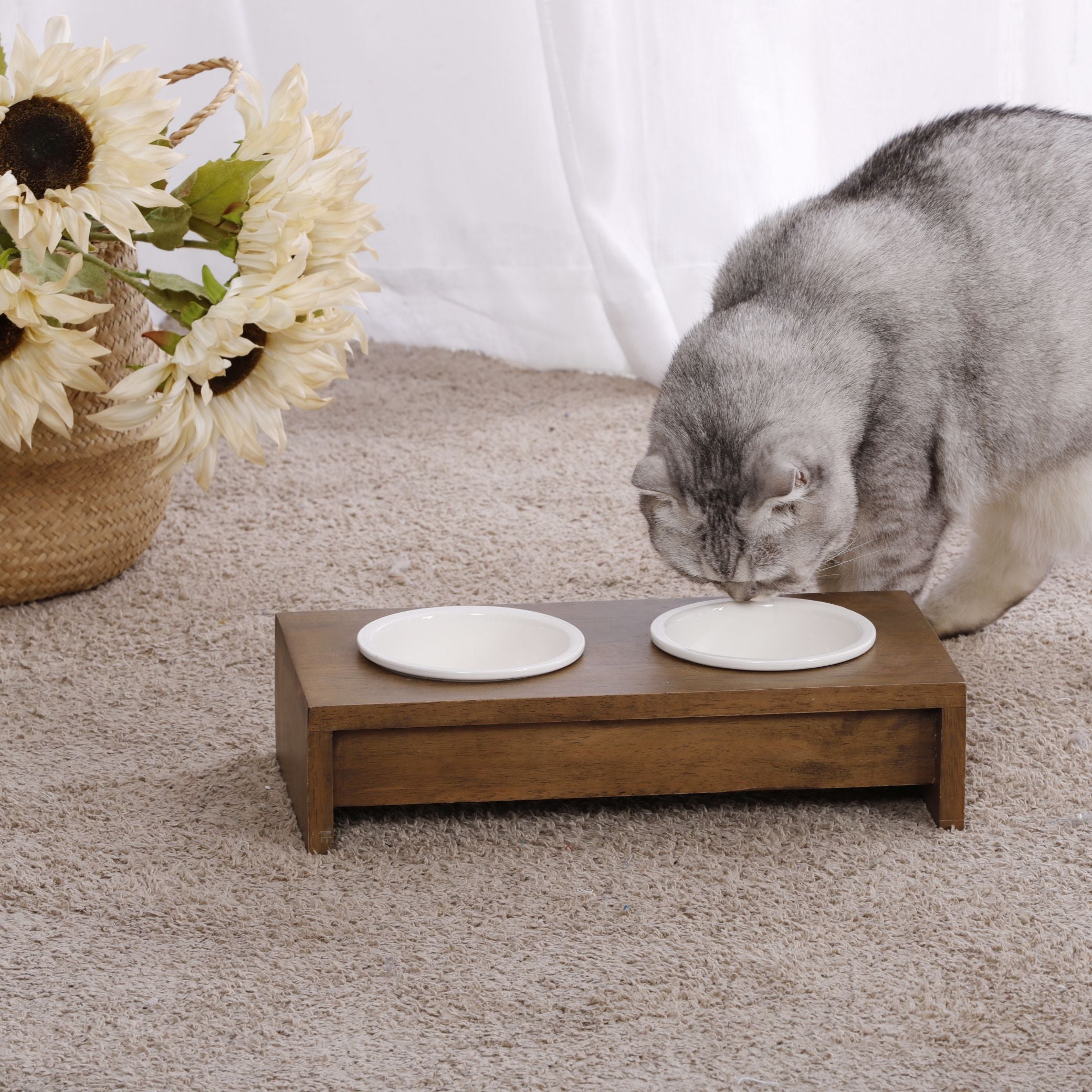 Dual 2025 pet feeder