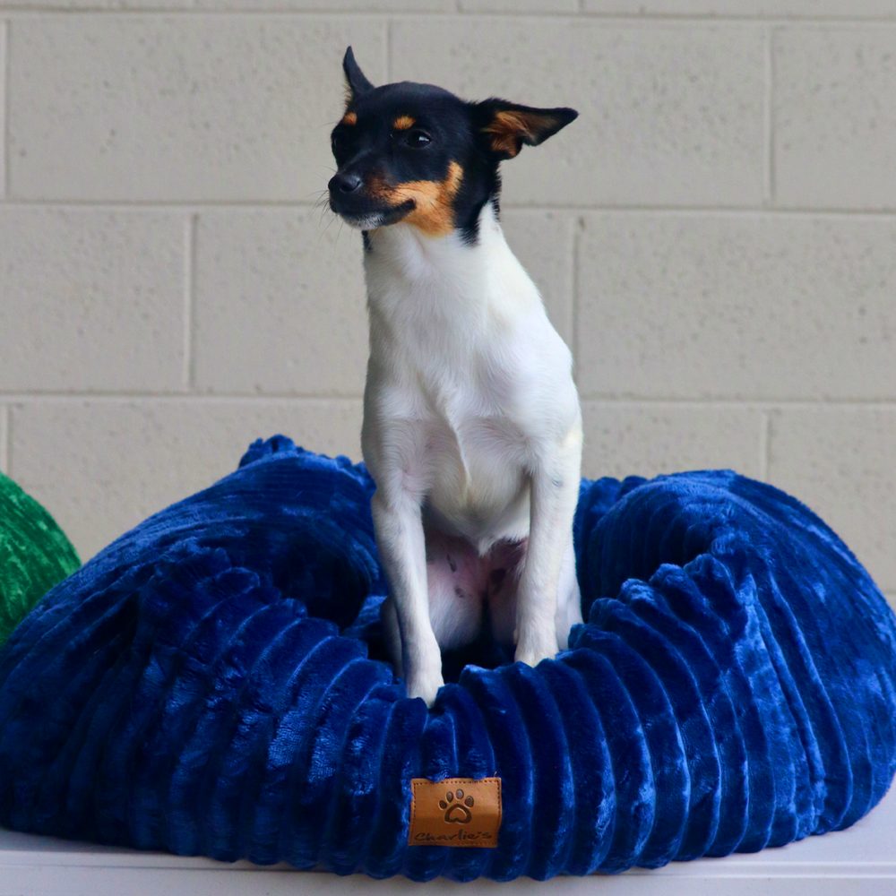 Ascher Plush Corduroy Square Pet Nest Bed - Navy Charlie's Pet Products